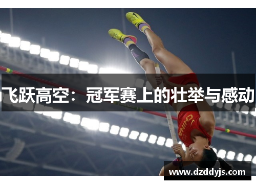 飞跃高空：冠军赛上的壮举与感动